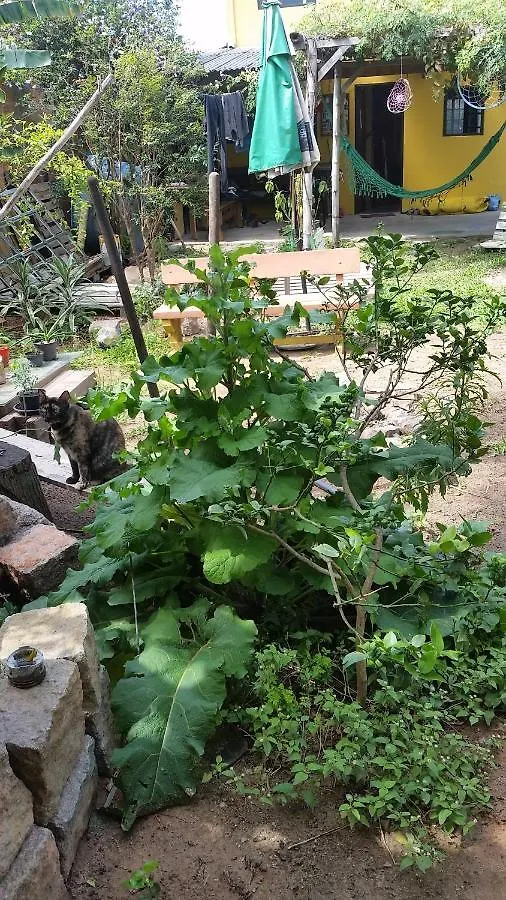 Casa Da Bruxa 호텔 Florianópolis 0*,  브라질