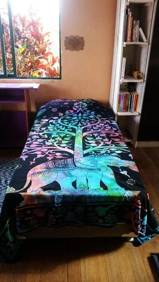 홈스테이 Casa Da Bruxa 호텔 Florianópolis